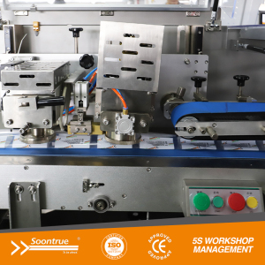 Box Motion Flow Wrapping Machine