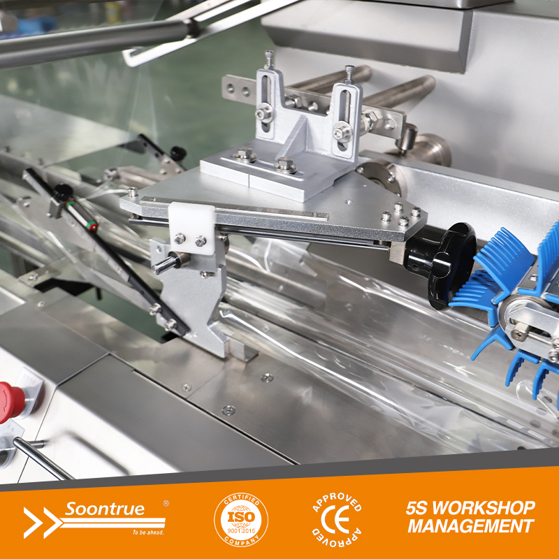 SW80E Box Motion Flow packaging Machine