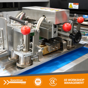 Full servo flow wrapping machine - SZ3000 