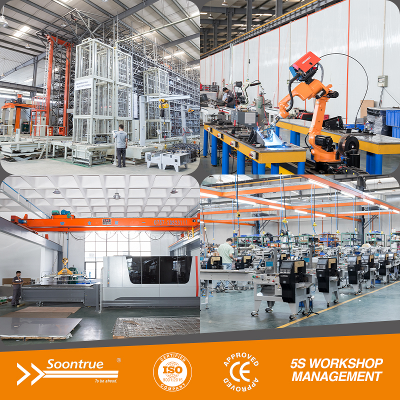 Box motion flow wrapping machine - SW280X