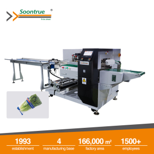 Box motion flow wrapping machine - SW280X