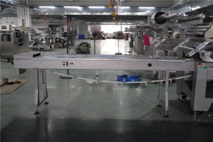 Box motion flow wrapping machine - SZ602W 