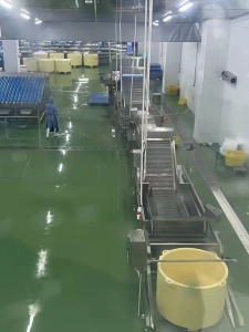 SDL100A Automatic Shrimp Deheading Processing Line