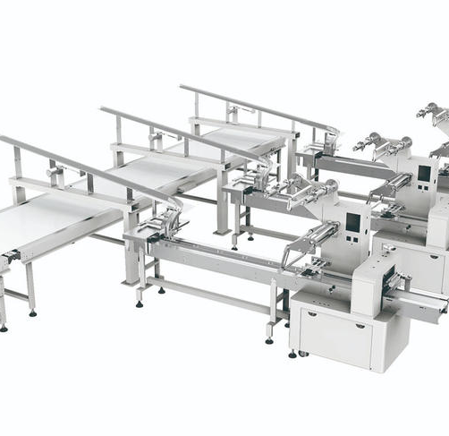 conveyor packing machine