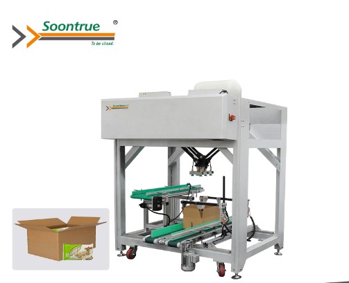 Automatic Carton Packing Machine