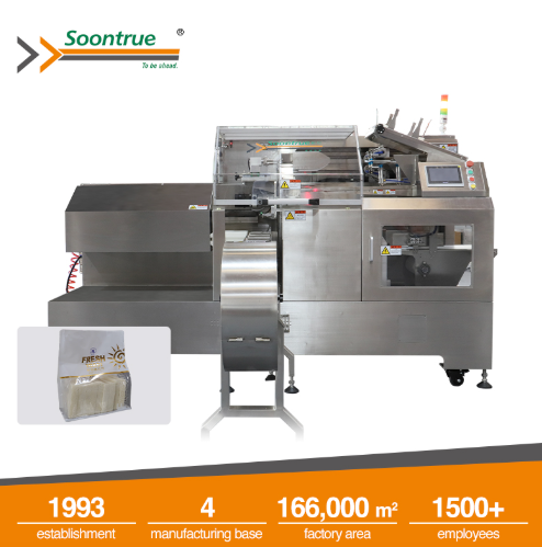 automatic pouch packing machine