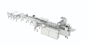 Automatic Carton Packing Machine - Soontrue